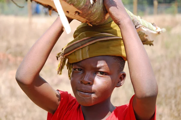 Bambini africani al lavoro trasportando legna da ardere per cucinare e riscaldare — Foto Stock