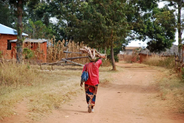 Una mujer africana cargando la leña para el fuego —  Fotos de Stock