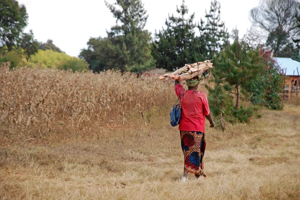 Una donna africana mentre trasportava la legna per il fuoco — Foto Stock