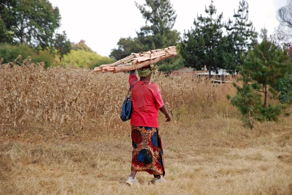 Una mujer africana cargando la leña para el fuego — Foto de Stock