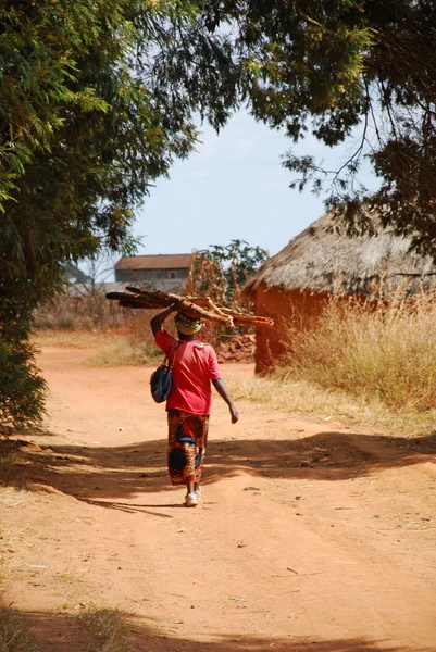 Uma mulher africana carregando a lenha para o fogo — Fotografia de Stock