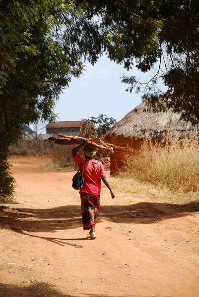 Uma mulher africana carregando a lenha para o fogo — Fotografia de Stock