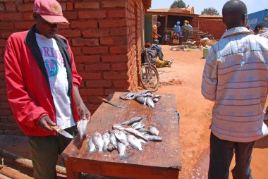 Ağustos 2014-A temiz taze balık ve köy pazarında