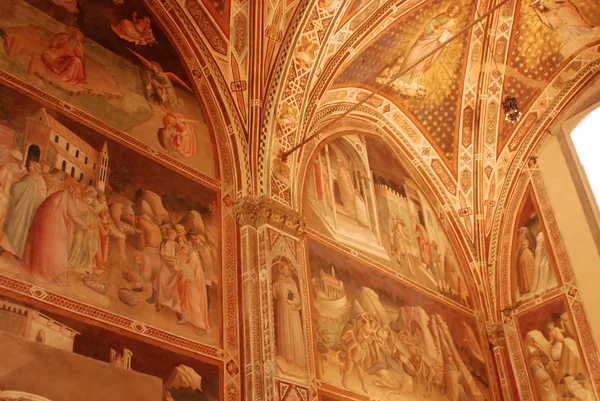 De schilderijen en fresco's van de kerk van Santa Croce in Florence-Toscane-Italië — Stockfoto