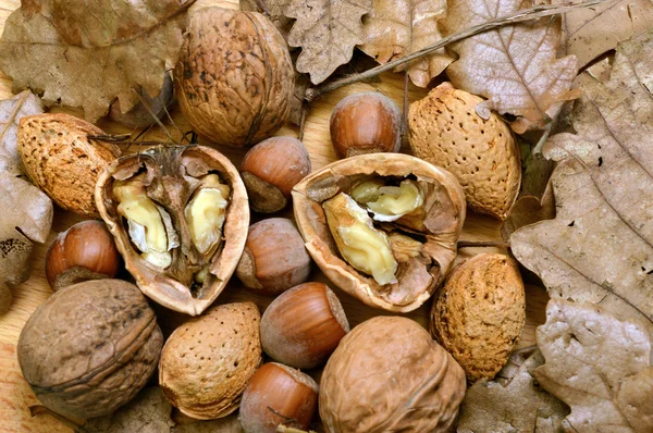 Sensazioni di autunno — Foto Stock