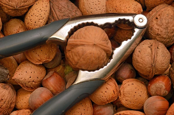 Cesta de nueces con cascanueces —  Fotos de Stock