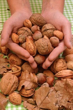 Özel bir teklif, ceviz, badem ve fındık