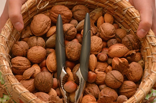 Cesta de nuez, almendra y avellana, con cascanueces — Foto de Stock