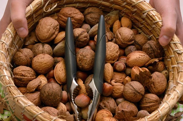 Mandje van walnoot, amandel en hazelnoot, met Notenkraker — Stockfoto