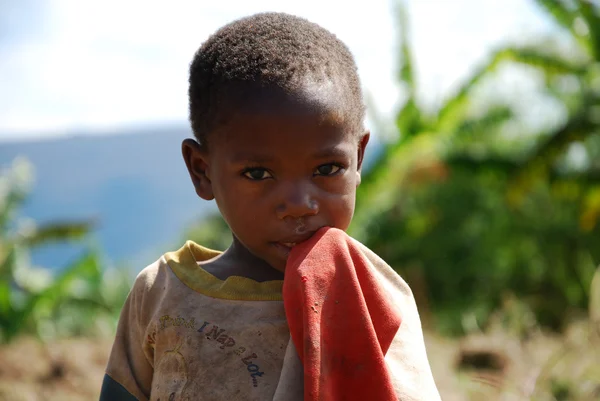 La seule chose que nous pouvons donner est leur sourire — Photo