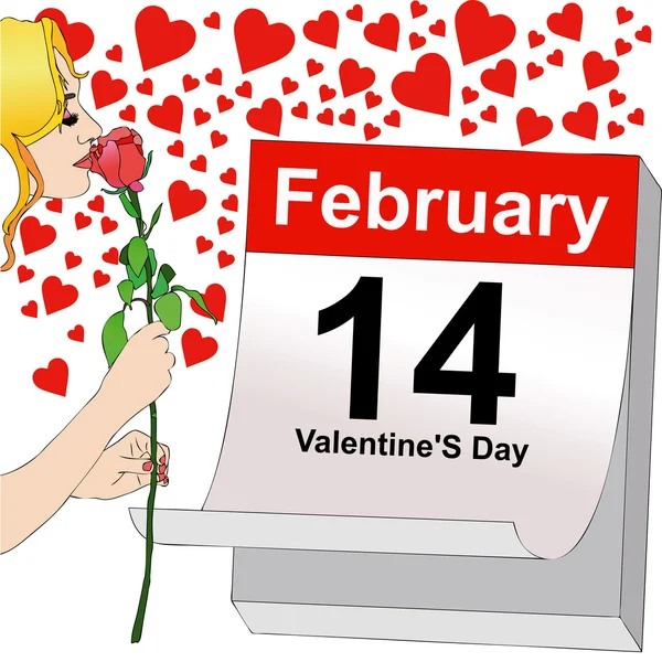 February 14, a rose for Valentine's Day — Stock Photo, Image