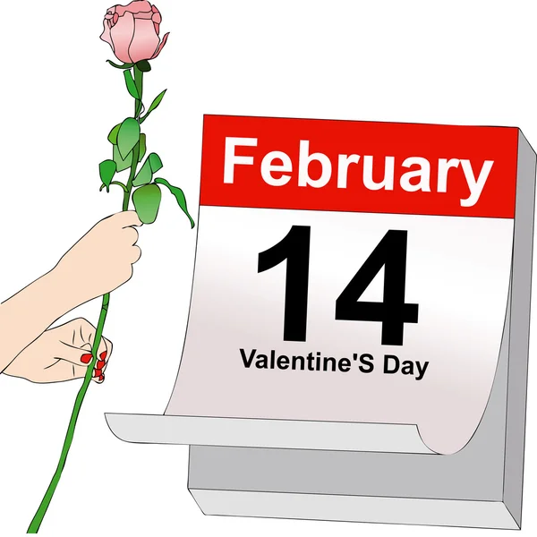 February 14, Valentine's Day — Stock Photo, Image