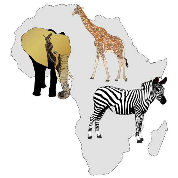 The Africa and its animals — Stock Vector
