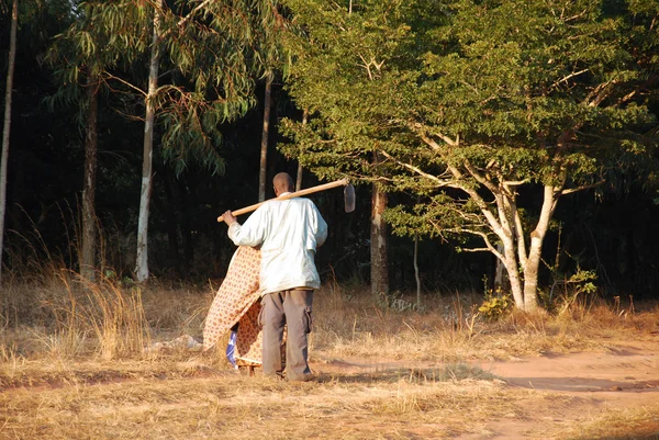 Ritorno dai campi - Villaggio di Pomerini - Tanzania - Africa — Foto Stock