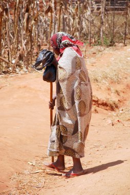 Dönüş Pomerini Köyü Tanzanya, Afrika 699 evde