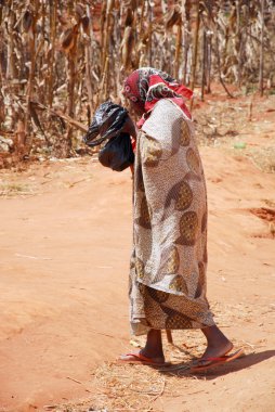 Dönüş evde Pomerini Köyü Tanzanya, Afrika 700