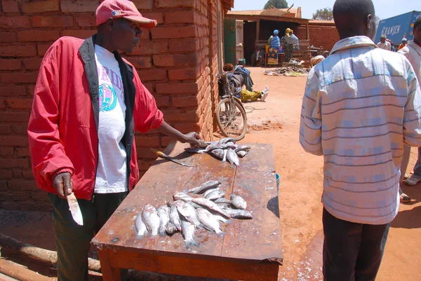 Do czyszczenia ryb na rynku Pomerini w Tanzanii, 71 — Zdjęcie stockowe