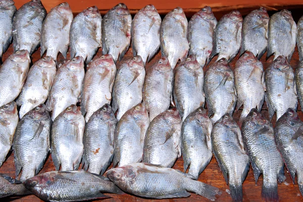 Verse vis blootgesteld aan de marktkramen van het dorp Pomerini — Stockfoto