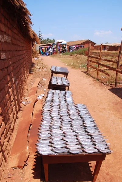 Fresh fish exposed on the market stalls of the village Pomerini — Stock Photo, Image