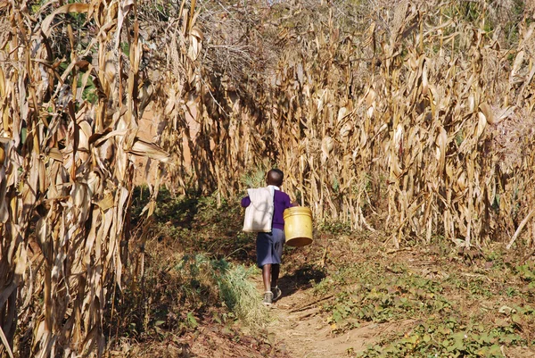 A visszatérés az iskolából egy afrikai gyermeket, Tanzánia, Afrika 79 — Stock Fotó