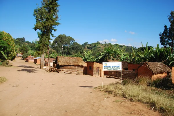 Le case del villaggio di Nguruwe in Tanzania, Africa 87 — Foto Stock