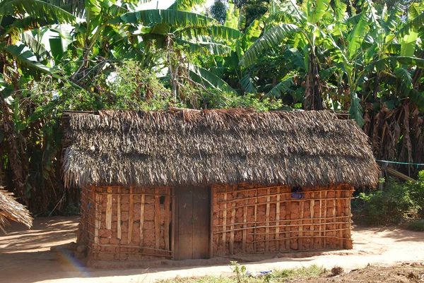 Husen i byn Nguruwe i Tanzania, Afrika 84 — Stockfoto