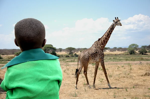 Het kind en de giraffe — Stockfoto