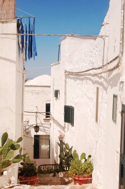 Ostuni Murgia beyaz şehir in Puglia - İtalya 666