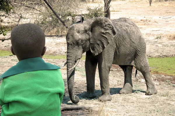 -Tanzanya - Afrika 38 kaydedilmesi için benim Afrika — Stok fotoğraf