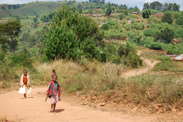 Barnen i Kilolo berg i Tanzania-Afrika — Stockfoto