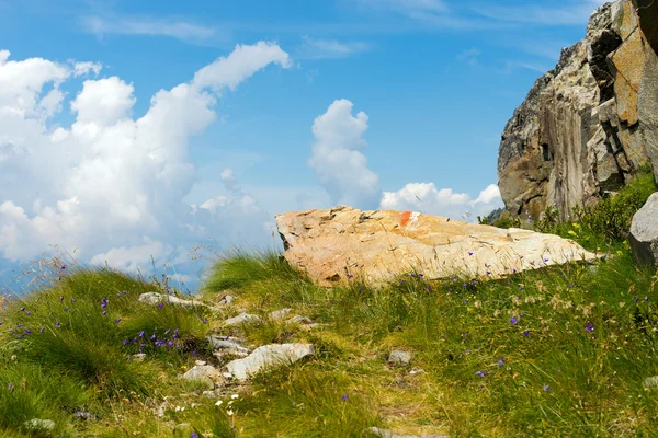 Nyomvonal a jel a Rock - olasz Alpok — Stock Fotó