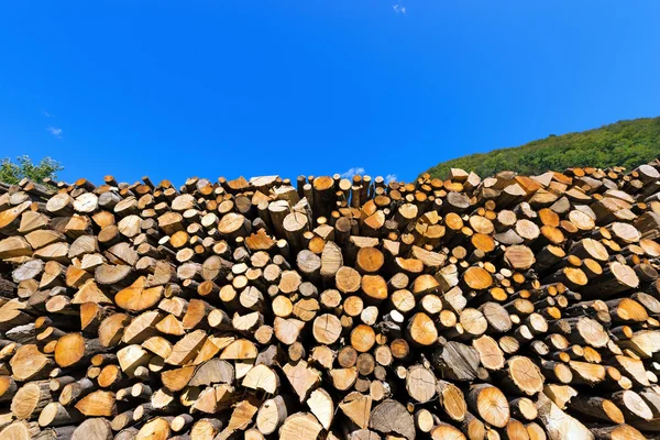 Pile of Chopped Firewood on Blue Sky — Stock Photo, Image