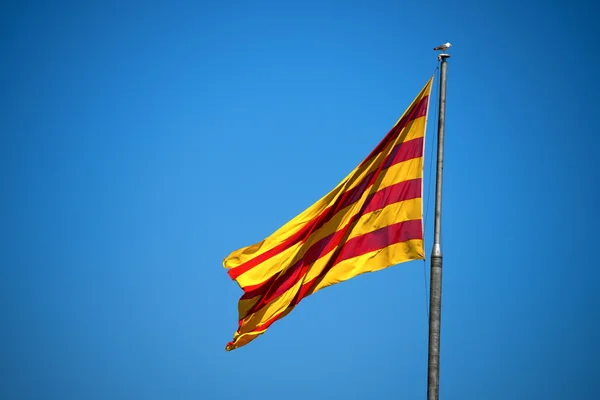 Bandera catalana en un cielo azul — Foto de Stock