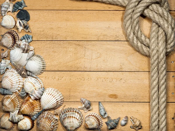 Seil und Muscheln auf Holzgrund — Stockfoto