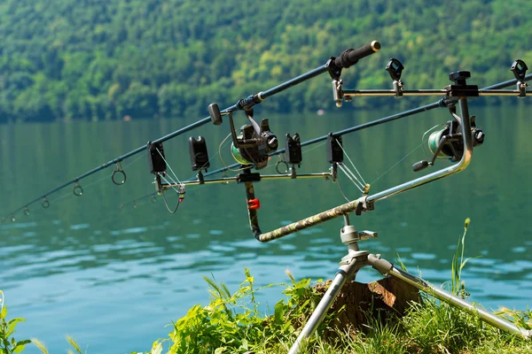 Cañas de pesca de carpa con carrete en el sistema de soporte —  Fotos de Stock