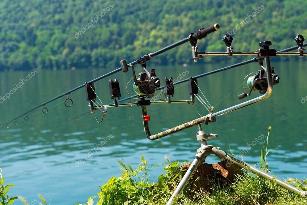 Carp Fishing Rods with Reel on Support System Stock Photo by