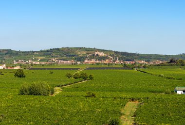Verona - Veneto İtalya yakınındaki Soave Köyü