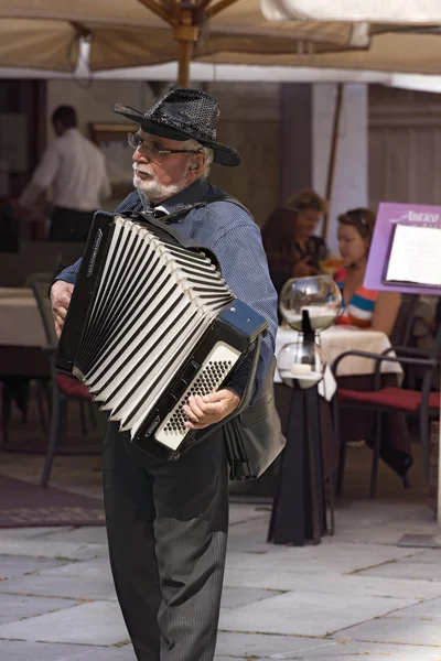 Gatumusikant spelar dragspel i Verona — Stockfoto