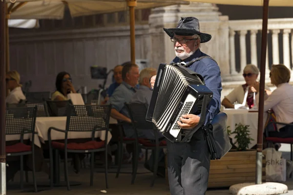 Gatumusikant spelar dragspel i Verona — Stockfoto