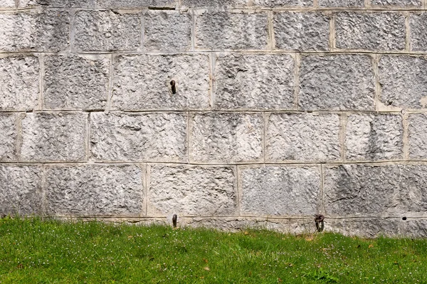 Grey versterkte muur met groen gras — Stockfoto