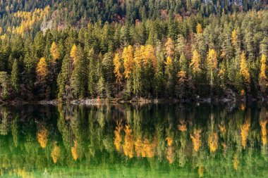 Lago di Tovel (Tovel Gölü), Sonbaharda ormanlı güzel Alp Gölü, Adamello Brenta Ulusal Parkı. Trentino Alto Adige, Trento ili, İtalya, Avrupa.