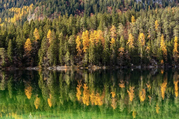 Lago Tovel Lac Tovel Beau Lac Alpin Avec Forêt Automne — Photo