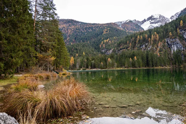 Lago Tovel Tovelsee Kleiner Und Schöner See Den Italienischen Alpen — Stockfoto