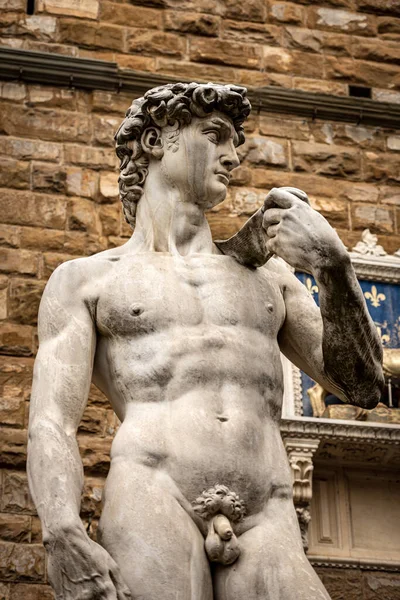 Primer Plano Estatua Del David Por Michelangelo Buonarroti Obra Maestra —  Fotos de Stock