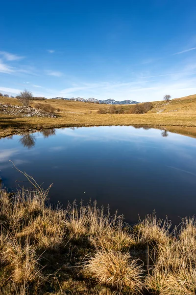 Kleiner See Für Kühe Regionalen Naturpark Der Hochebene Von Lessinia — Stockfoto