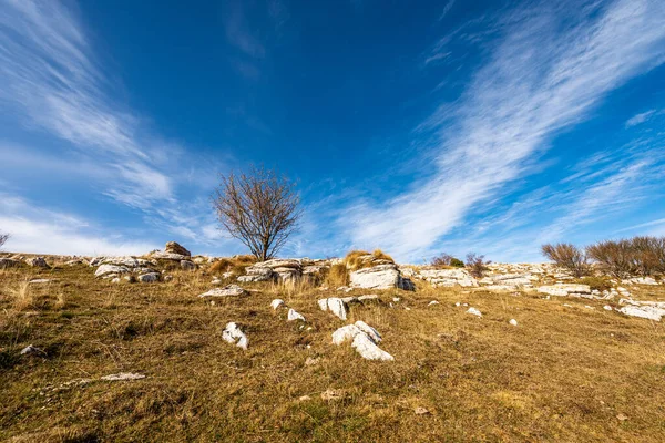 Landscape Lessinia Plateau Altopiano Della Lessinia Autumn Brown Meadow Karst — Stock Photo, Image