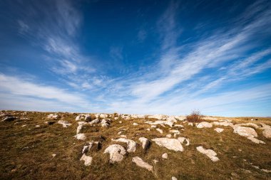 Lessinia Platosu 'nun (Altopiano della Lessinia) sonbaharda kahverengi çayır ve karst kayaları, Veneto Bölgesel Doğal Parkı, Veneto, İtalya, Avrupa.