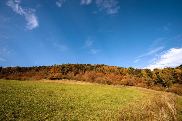 Wunderschöner Wald Den Italienischen Alpen Herbst Corno Aquilio Der Hochebene — Stockfoto