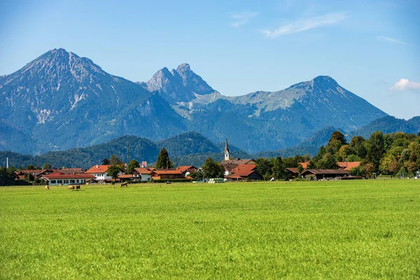 Groene Landbouwvelden Beierse Alpen Met Het Stadje Schwangau Bij Fussen — Stockfoto