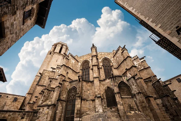 Barcelonská Katedrála Gotickém Stylu Svatý Kříž Saint Eulalia Catedral Santa — Stock fotografie